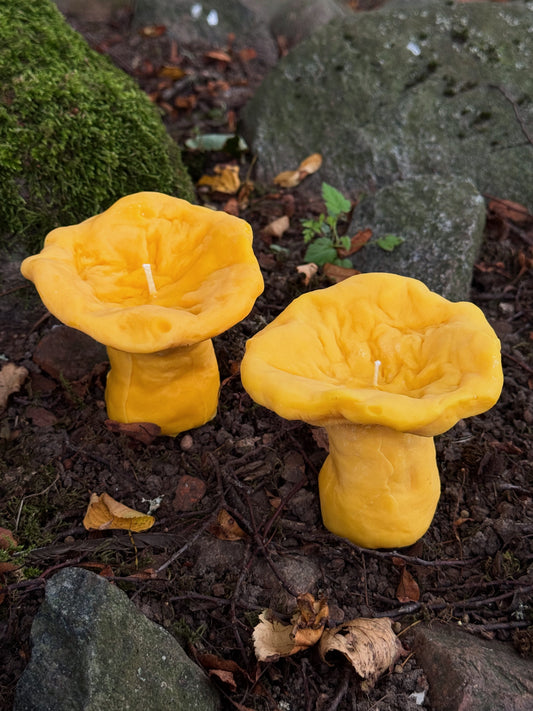 Rapšu vaska svece “Gailene”