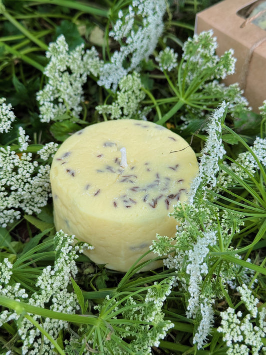 Rapšu vaska svece “Siera ritulis”