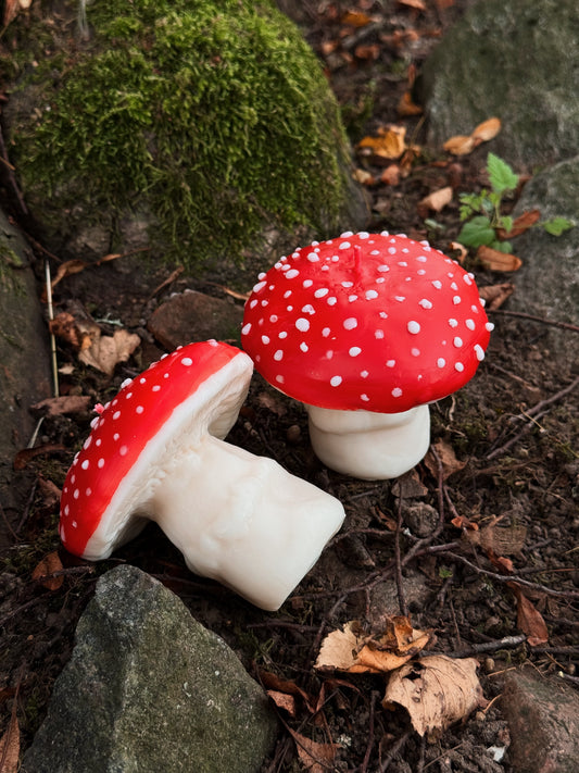 Rapšu vaska svece “Mušmire”