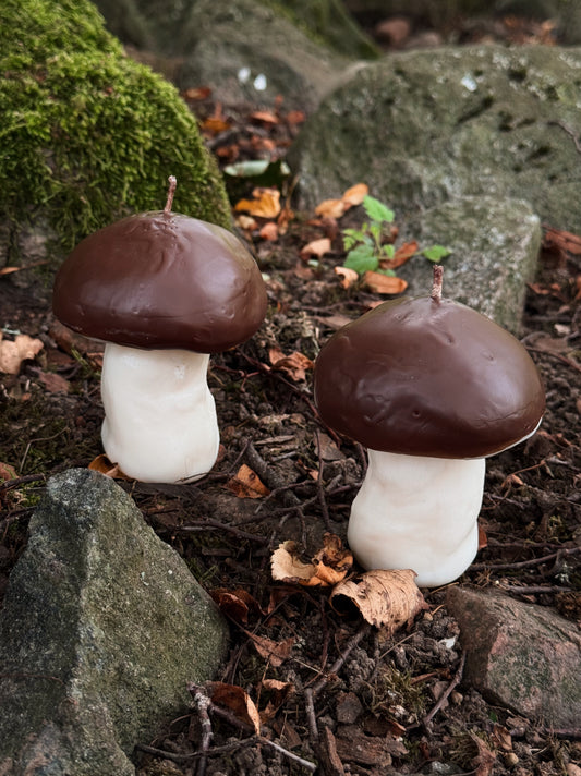 Rapšu vaska svece “Baravika”