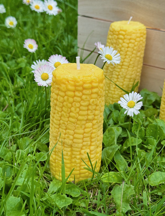 Rapšu vaska svece “Kukurūza”