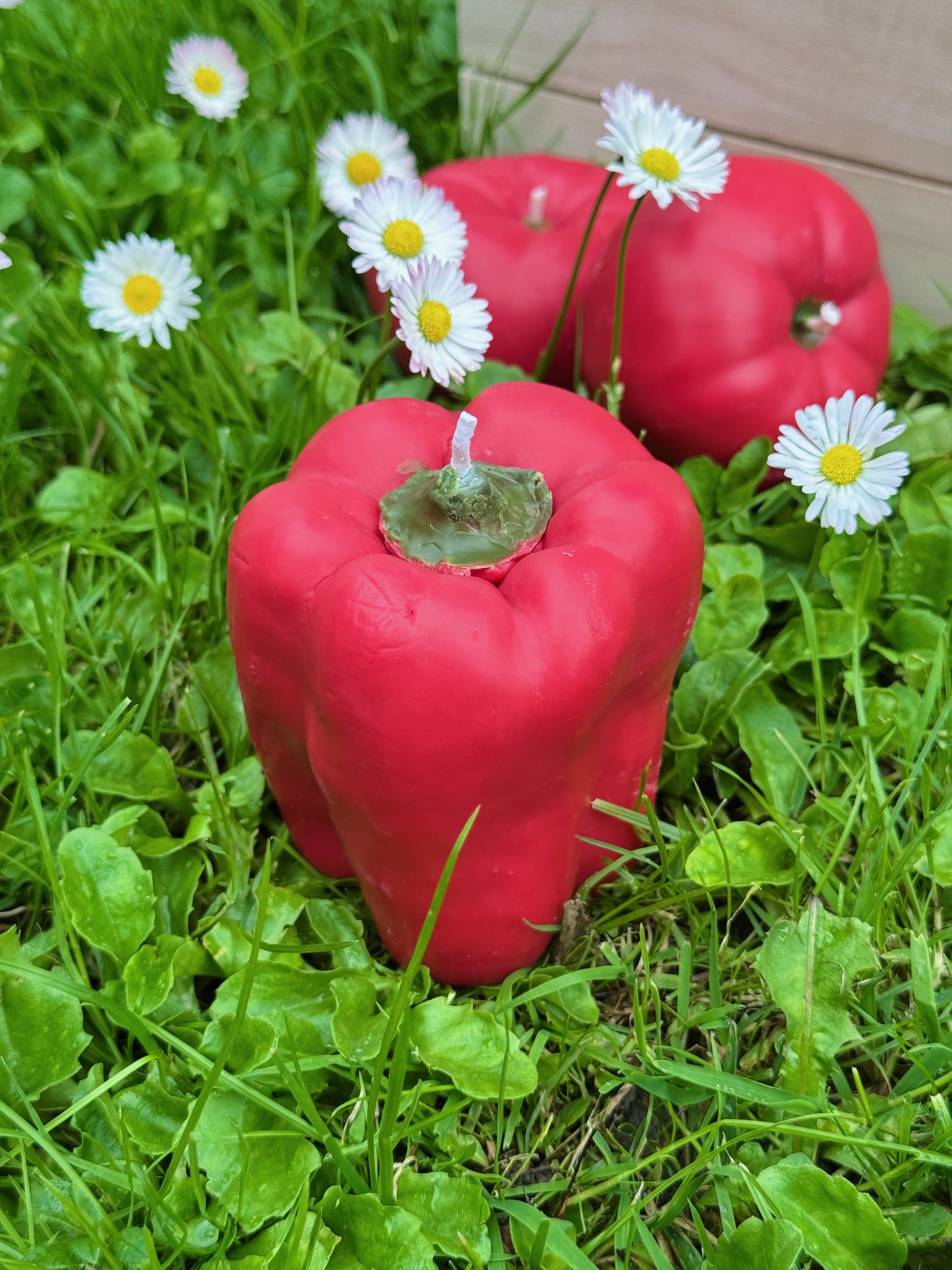 Sojas vaska svece “Paprika”