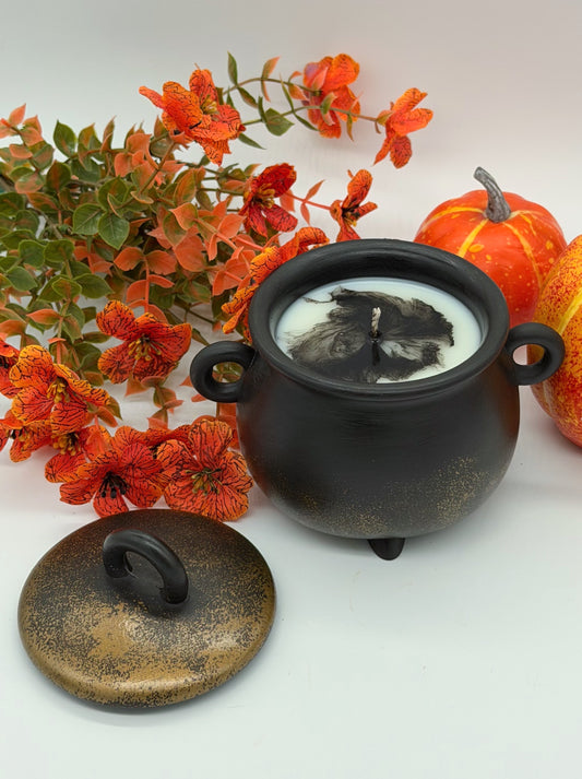 Sojas vaska svece “Raganas katls”