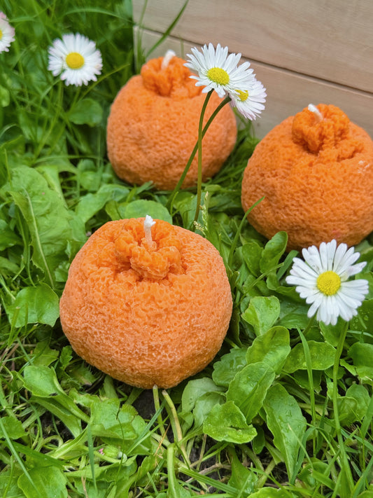 Rapšu vaska svece “Mandarīns”